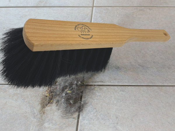 Profi Handbroom with horse hair