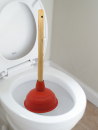 Suction cup plunger